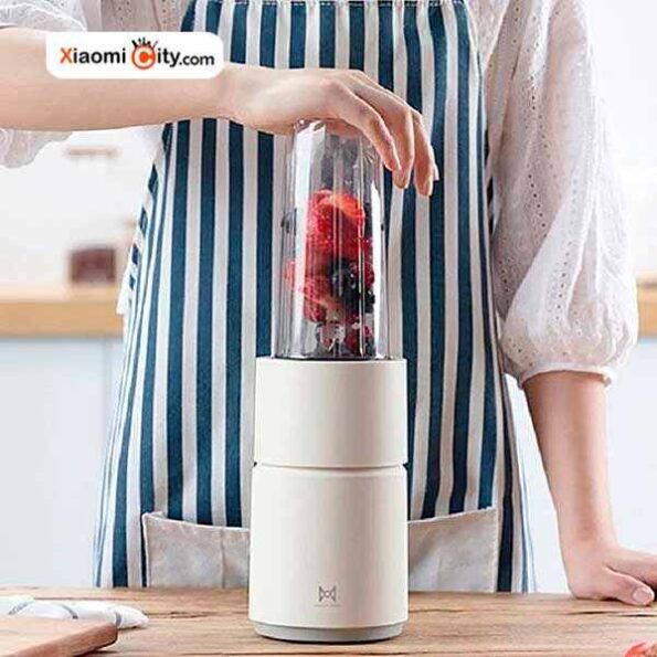 خرید مخلوط کن شیائومی پینلو مدل PL-L350W1B-01